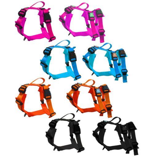 Le Chien Blanc - Harnais pour chien Horizon