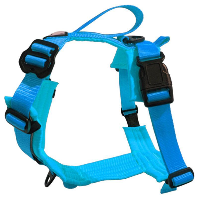 Le Chien Blanc - Harnais pour chien Horizon