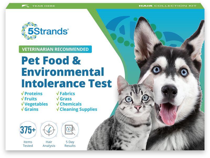 5Strands - Food and Environmental Intolerance Test