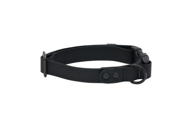 RCPets - Collier pour chien Imperméable &amp; ajustable, deux tons