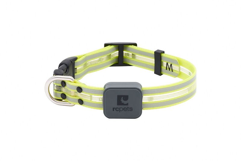 RCPets - Collier lumineux à DEL Nova