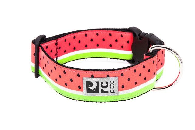 RCPets - Collier Large à motifs