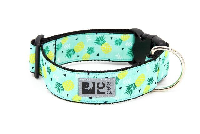 RCPets - Collier Large à motifs