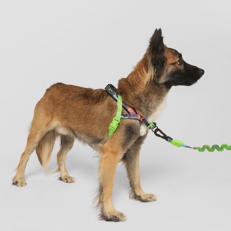 Zee.Dog - SofterWalk - Manifesto