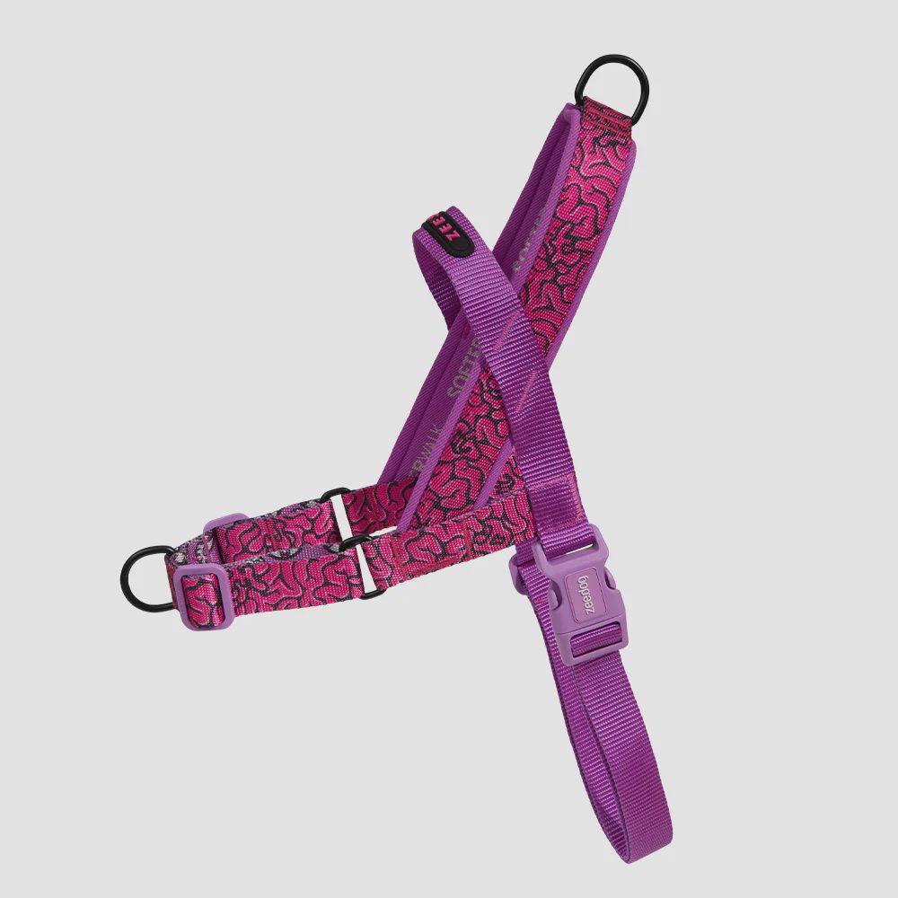 Zee.dog - Harnais de marche SofterWalk édition ZeeTown Brain