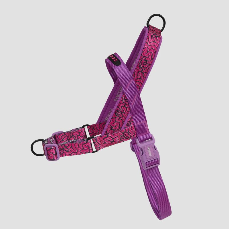 Zee.dog - Harnais pour chien, de marche SofterWalk édition ZeeTown Brain