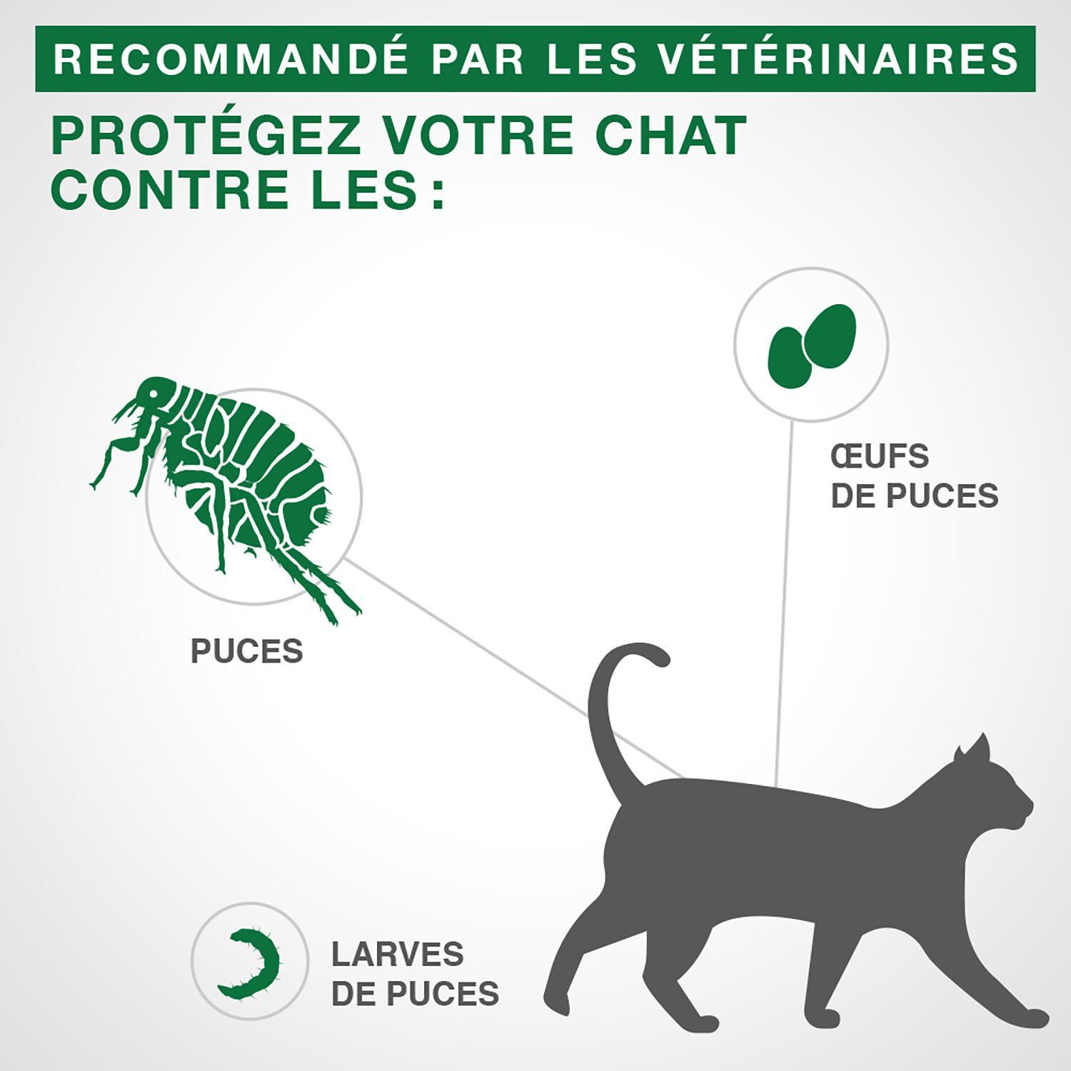 Advantage II - Topical Flea Protection for Cats