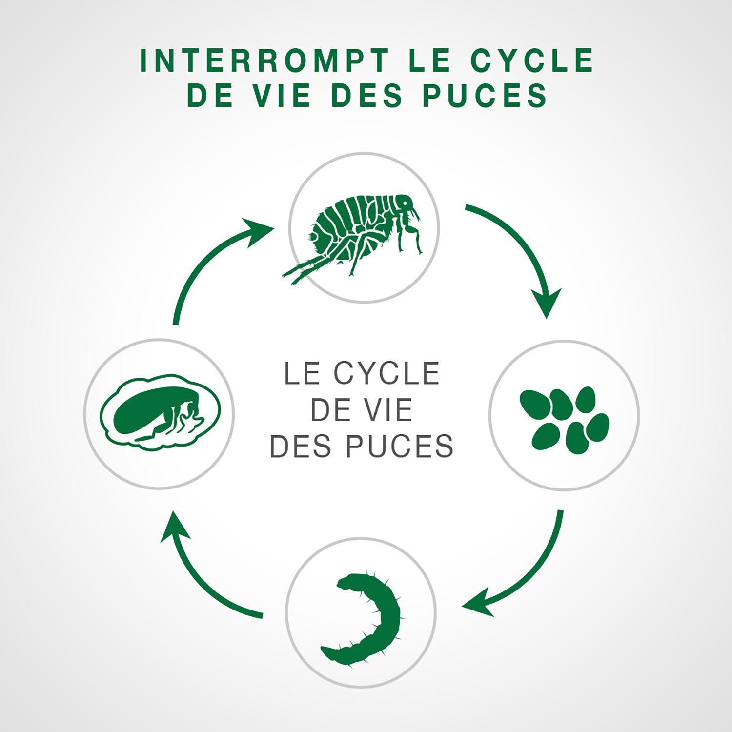 Advantage II - Topical Flea Protection for Cats