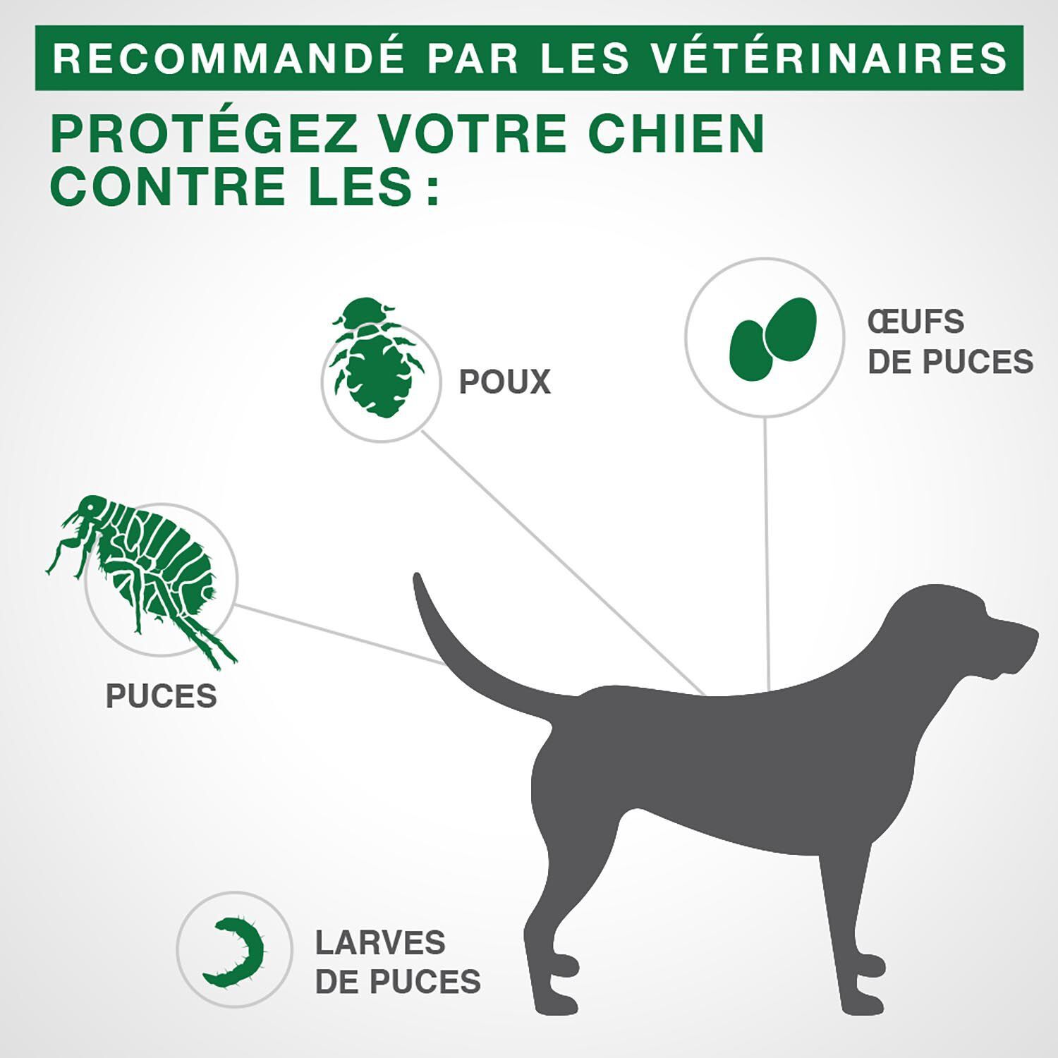 Advantage II - Topical Flea Protection for Dogs