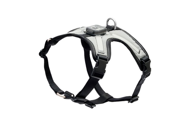 RCPets - Harnais pour chien lumineux à DEL Nova (noir/gris)