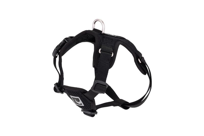 RCPets - Harnais pour chien,  Step In Forte ajustable