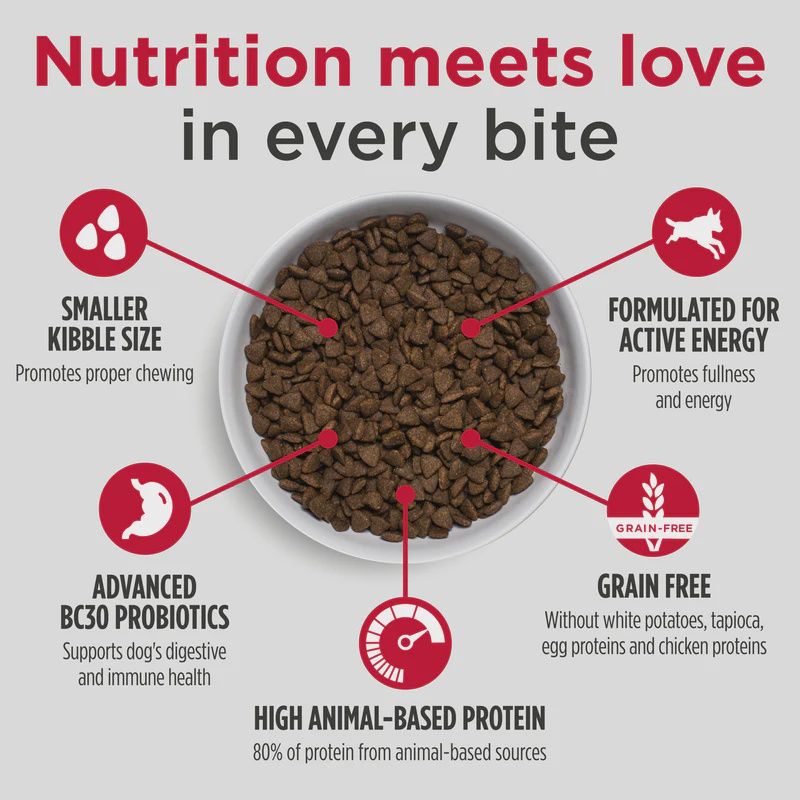 Nulo - Petite Race, Saumon et Lentilles Rouges, Sans Céréales