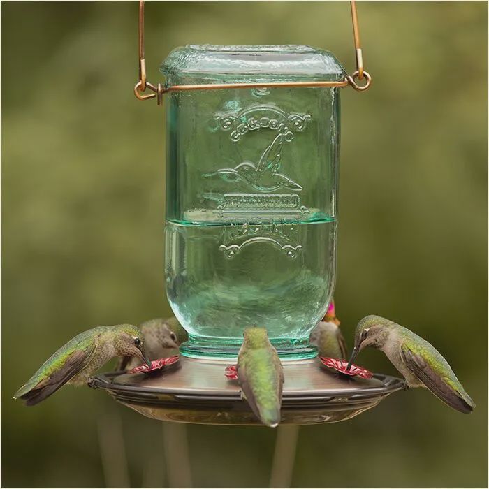 More Birds - Abrevoir à colibri, Mason Jar
