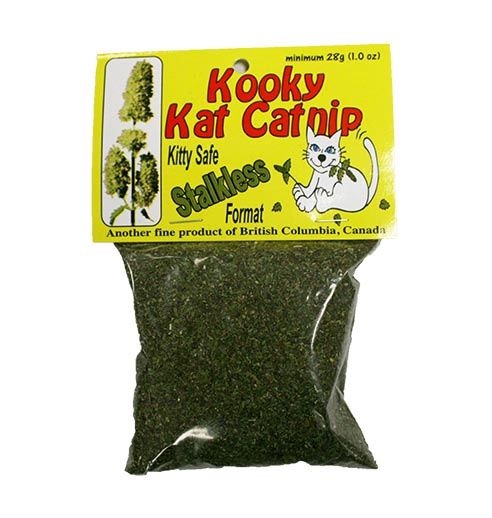 Kooky Kat- Herbe a chat feuille et fleur