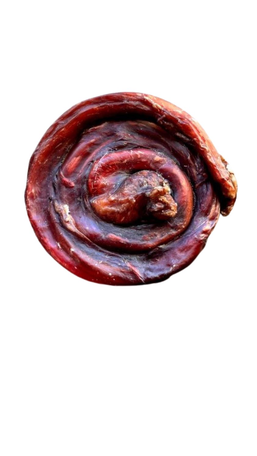 Pur Evolution- Brioche de bully stick Large