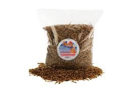 Chubby - Quebecois Mealworms 60g