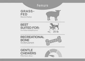 Red Dog Blue Kat - Fémurs d'agneau