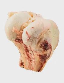 K9 Choice Foods - Buffalo Joint, Frozen Bone