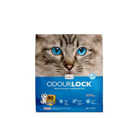 Intersand, Odourlock, Clumping Cat Litter, Unscented, 6kg