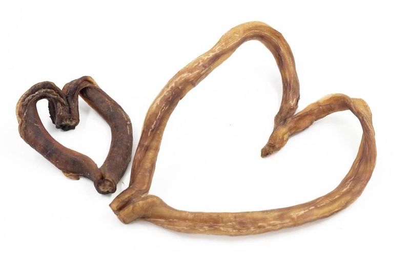 Vrac pour chien- Bully sitck en forme de Coeur