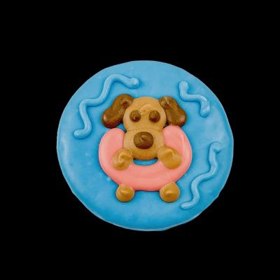 Bosco and Roxy - Pool Party