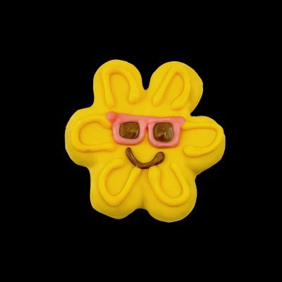 Bosco and Roxy- Summer Sun