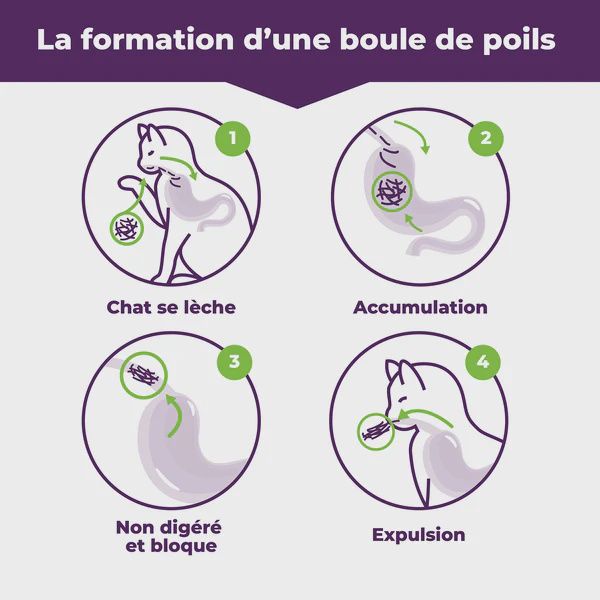 Baci+ Hairball Control &amp; Healthy Coat Treatment 85g