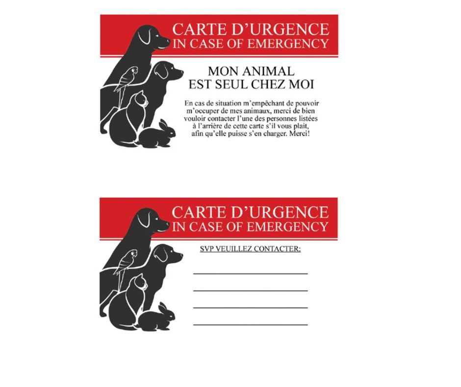 Emergency Wallet Card