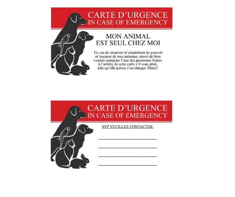 Emergency Wallet Card