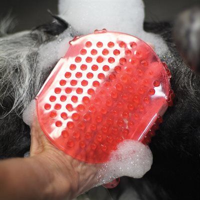 Shedrow- Jelly scrubber rouge, types: régulier