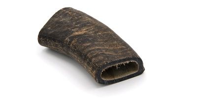 Gourmet 4 Paws - Buffalo Horn