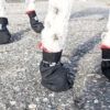Le Chien Blanc - Botte courte grip