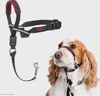 Company of Animals - Halti Dog Headcollar, Black
