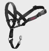Company of Animals - Halti &quot;OptiFit&quot; Dog Headcollar