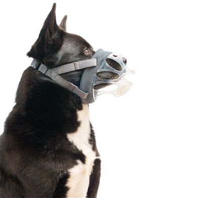 Company of Animals - Baskerville Basket Muzzle Invisa