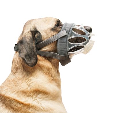 Company of Animals - Baskerville Basket Muzzle Invisa