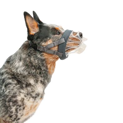 Company of Animals - Baskerville Basket Muzzle Invisa