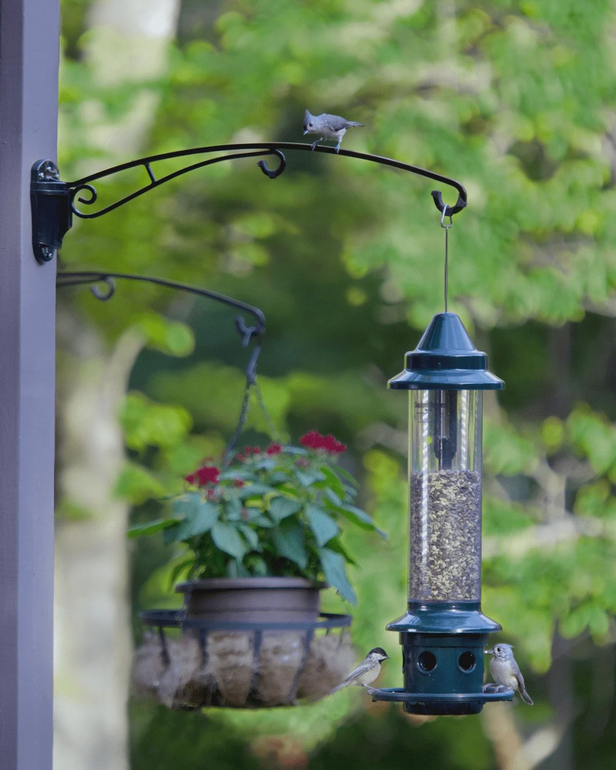 Brome - Birds Up, Feeder Hook, Support Arm 63.5cm