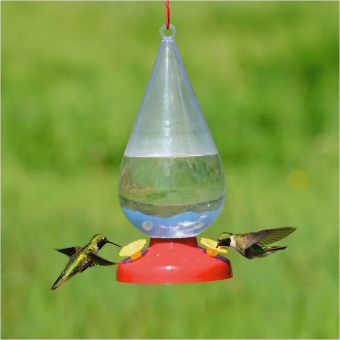 Perky-Pet - Abreuvoir à colibri, Goutte de rosée, 32oz