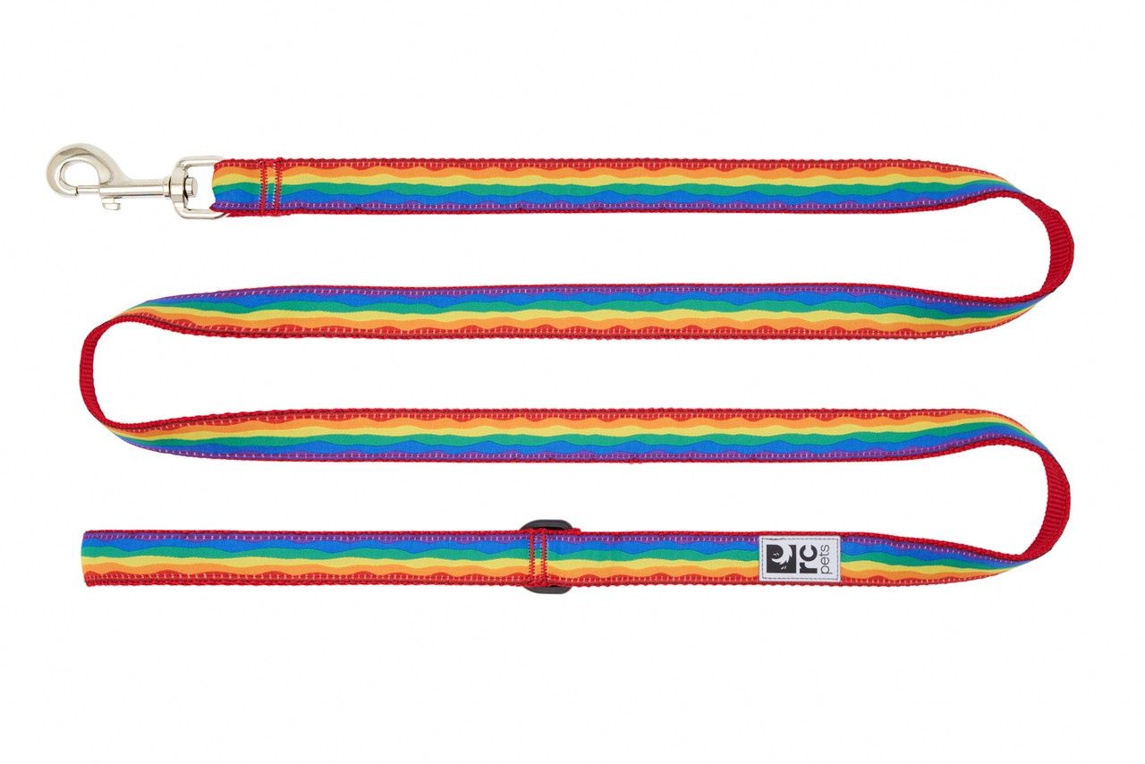 RcPets - Laisse à motifs 6&#39;