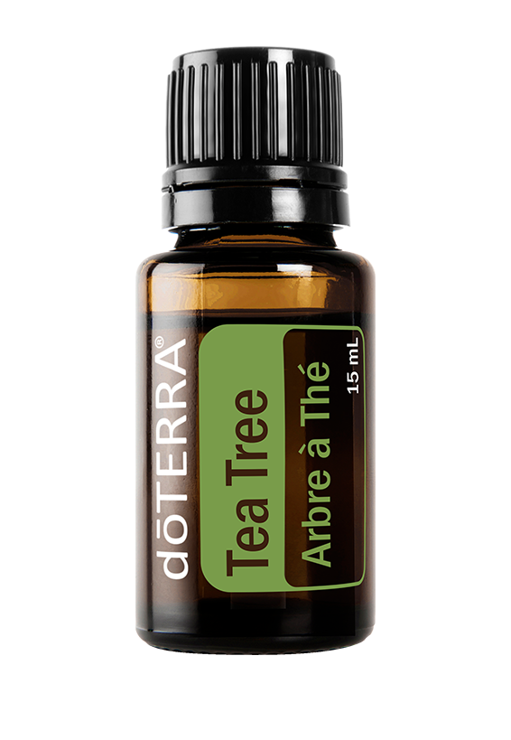 doTERRA - Tea Tree Essential Oil 15ml (PSN)