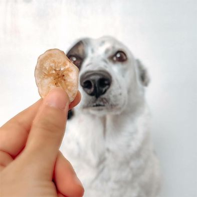 HealthyBud - Dog Treat, Dried Banana Chips 150g