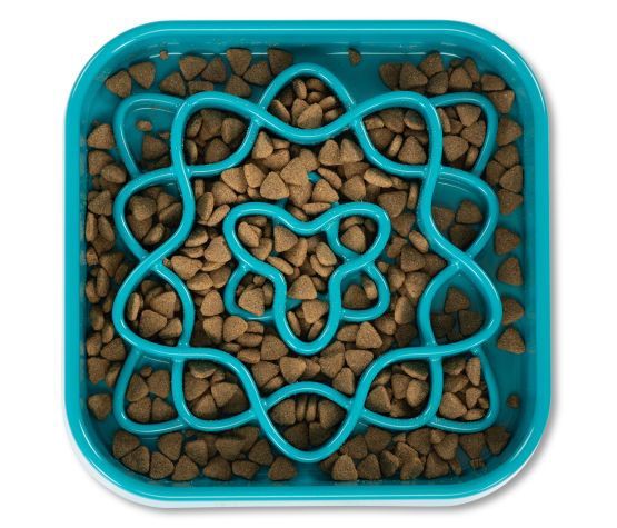 Messy Mutts -Bol ralentisseur carré pour chien