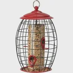 More Birds - Mangeoire Sweet Tweet Café