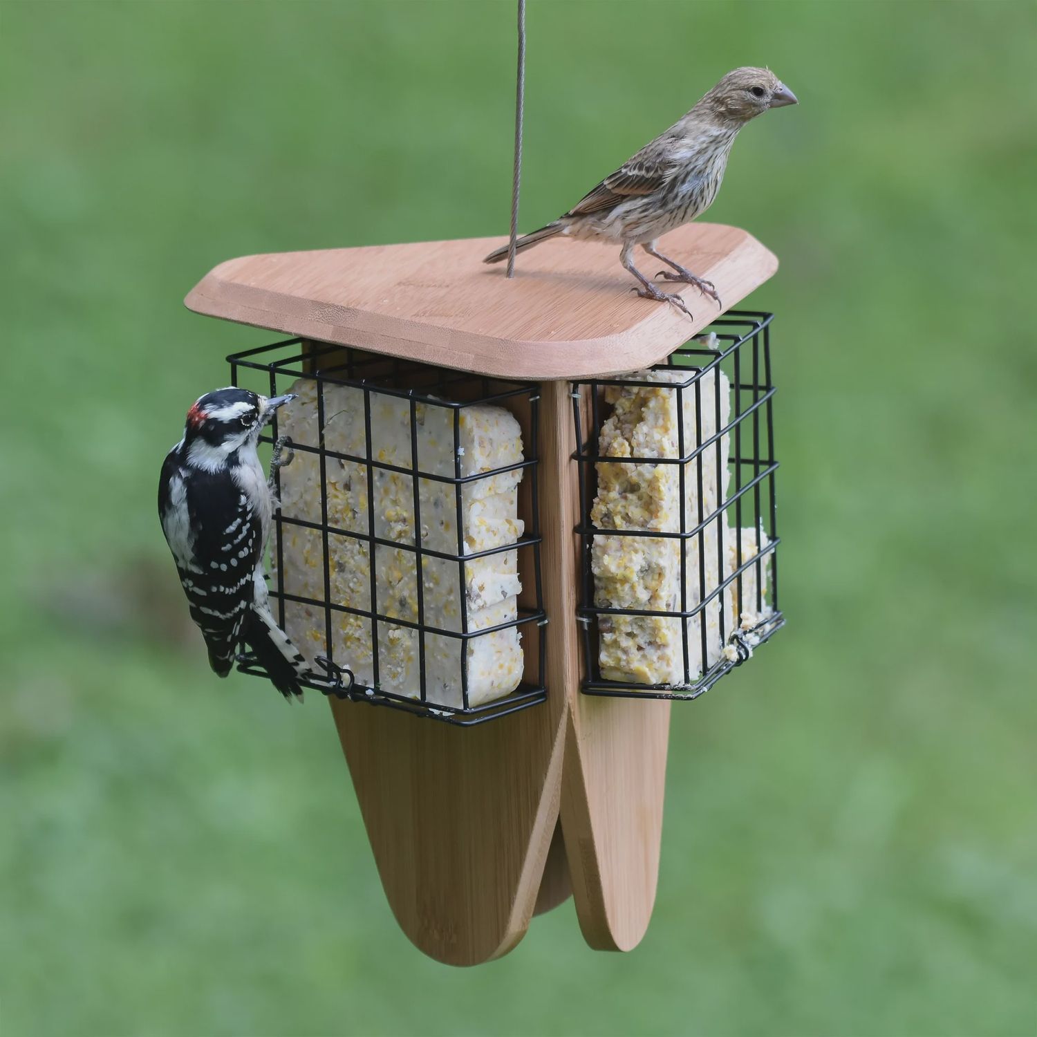 Perky-Pet - Mangeoire pour suif en bambou, Triple délice