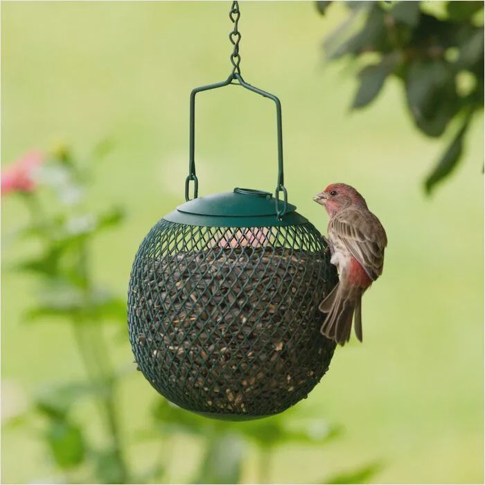 Perky-Pet - Mangeoire, Balle de graines