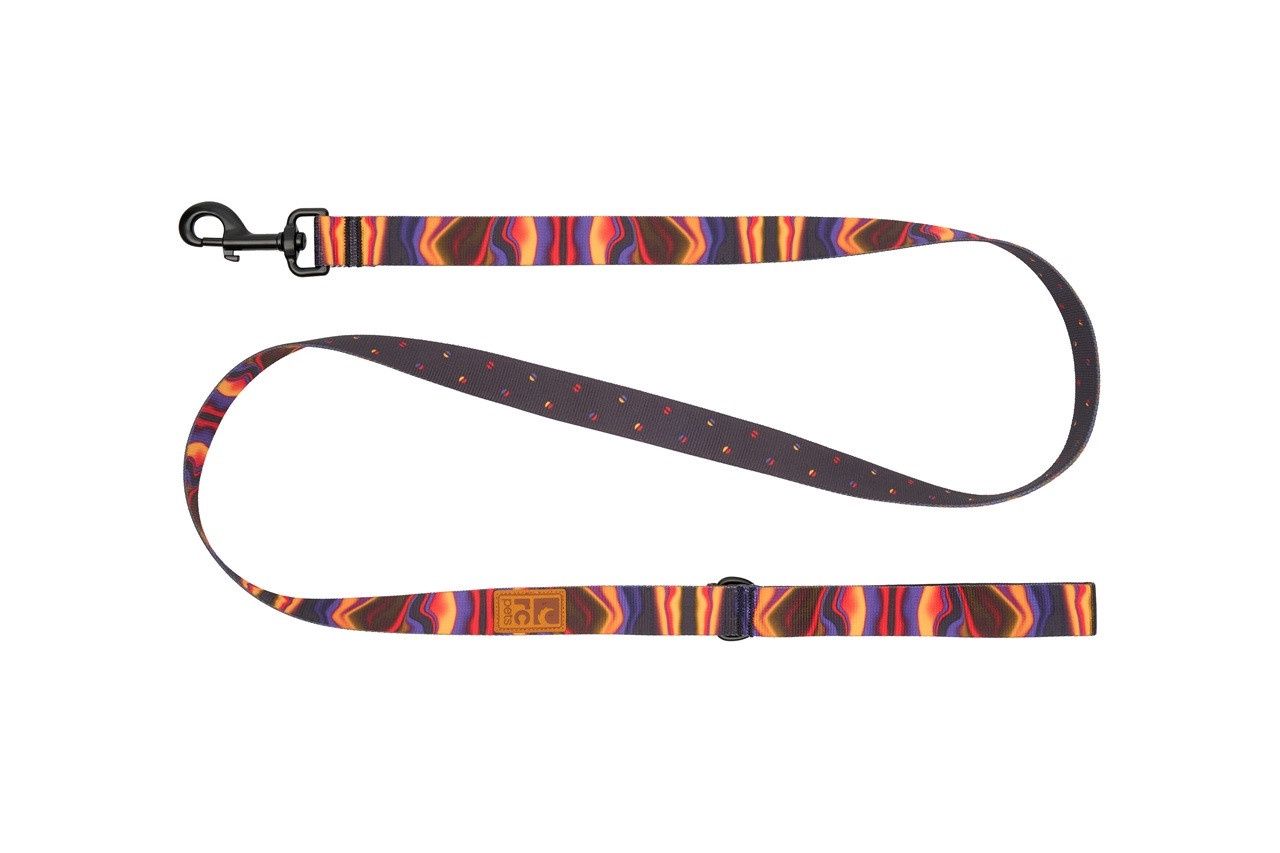 RcPets - Laisse éco de 5&#39; à motifs, couleur: Aura Cosmique, taille: 1&#39;&#39;