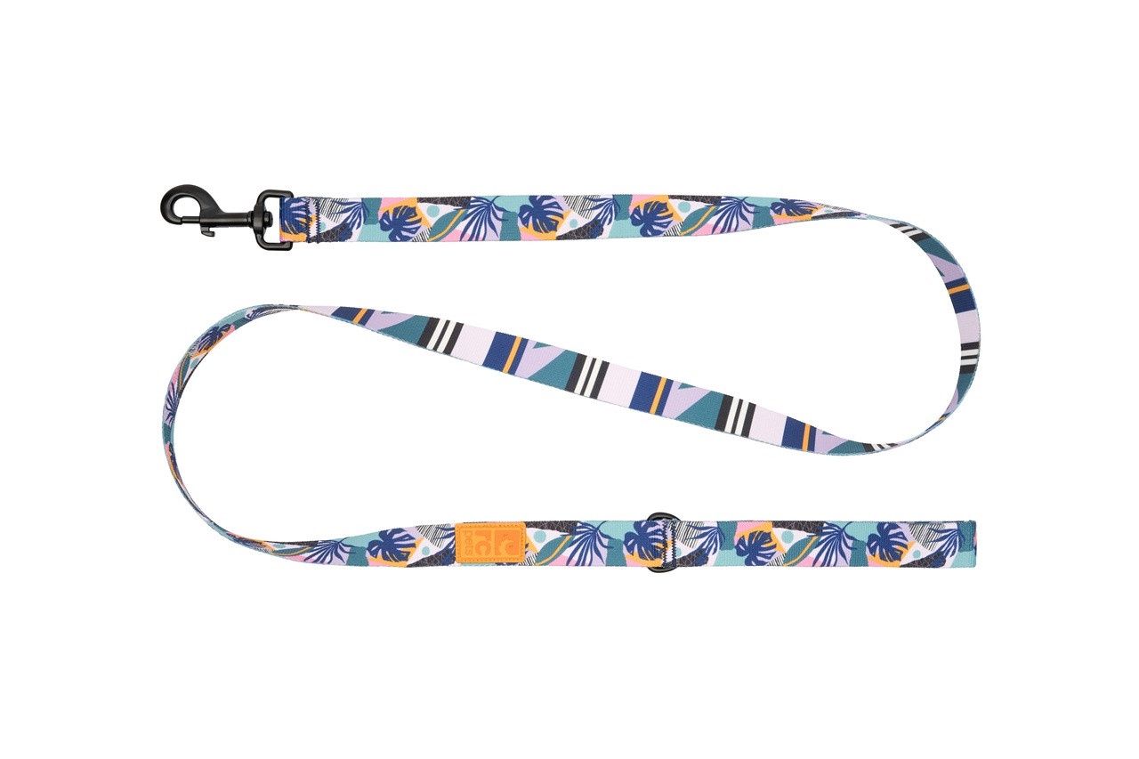 RcPets - Laisse éco de 5&#39; à motifs