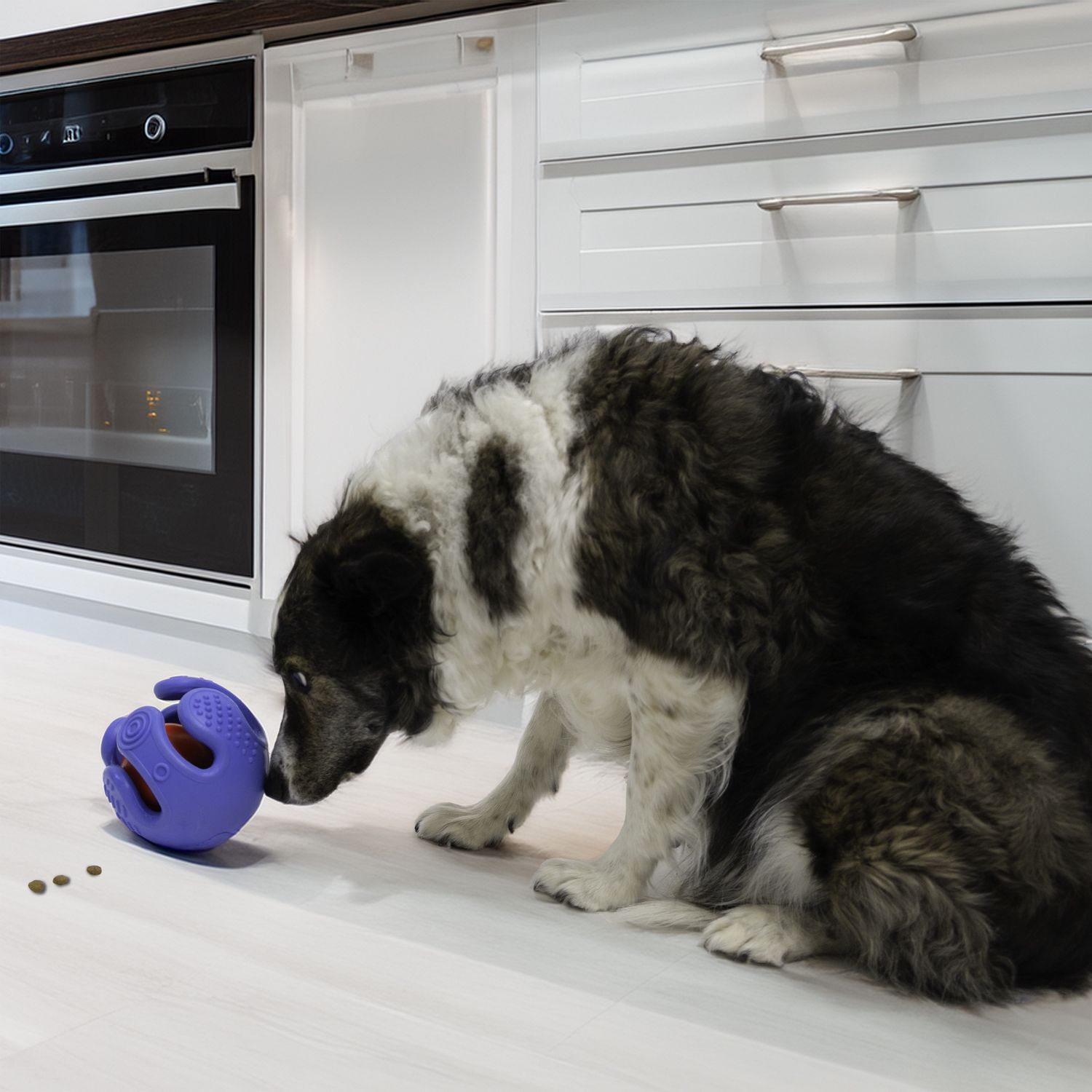 Kong - Rewards, Wrapz