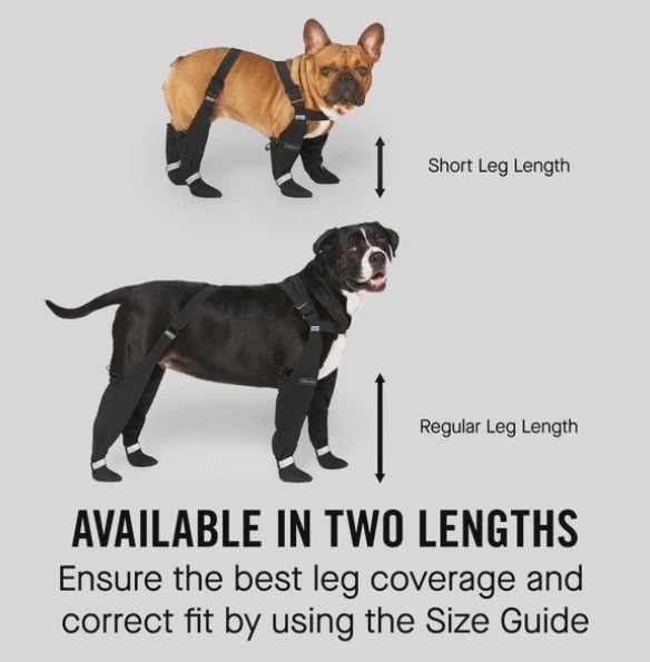 Canada Pooch - Suspender Boots, Short for Dogs